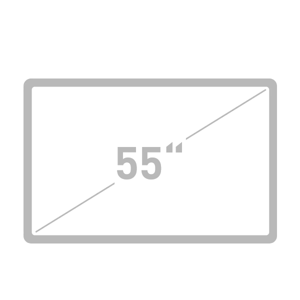 55インチ OLED 4Kスクリーン
